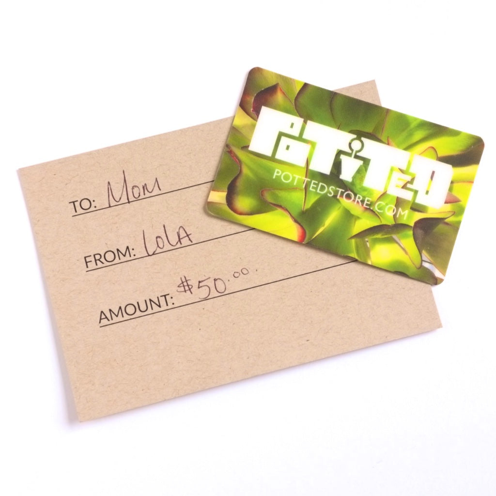 Our local plant store - Digital Gift Card