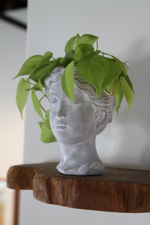 Lady Head Planter