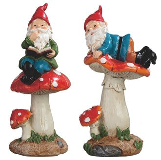 Gnome on Mushroom