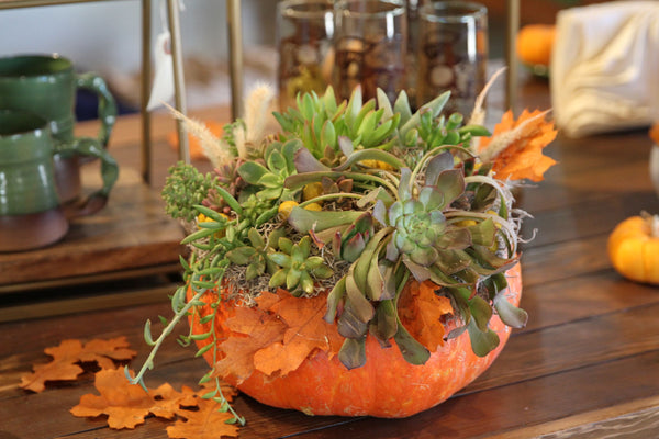 Pumpkin Centerpiece