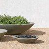 Low Zen Bowl