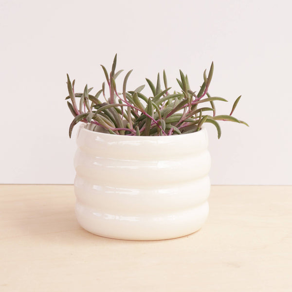 Set of 7 Small Ceramic Planters for Succulents, Home Decor