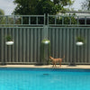 Three Orbit Planters spaced evenly and hanging by the edge of a pool with a brown dog walking by.