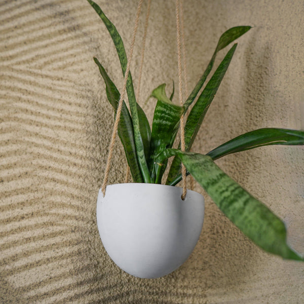Minimalist Hanging Plant Pot