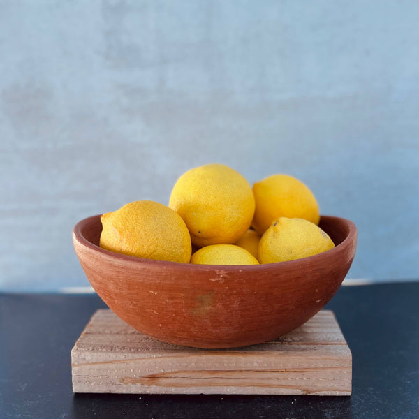 Tlapazola Red Clay Fruit Bowl