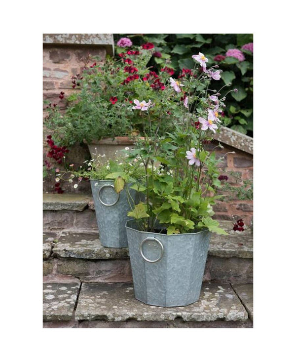 Beveled Zinc Planters With Handles