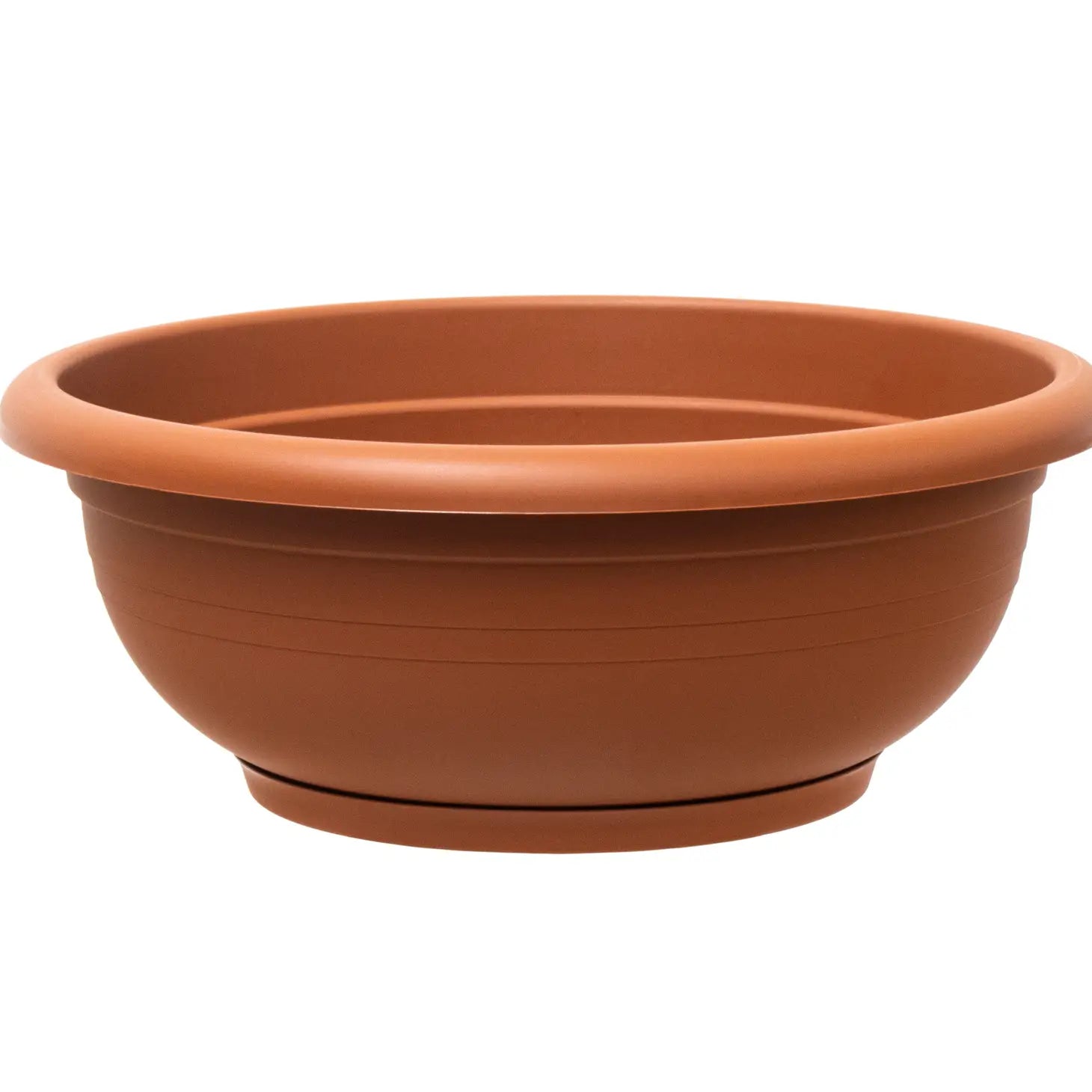 Re-Bowl Planter – Potted
