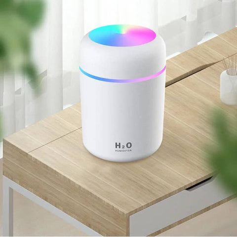 Small Plant Humidifier