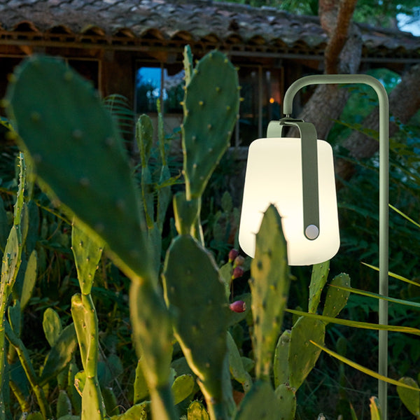 Balad Lamp in Cactus in a field of cactus.