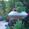 White Orbit Planter hanging in a garden near a pool with succulents.
