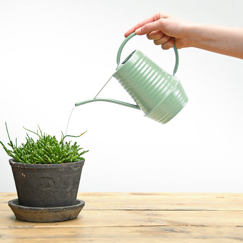 Shades of Green Indoor Watering Can