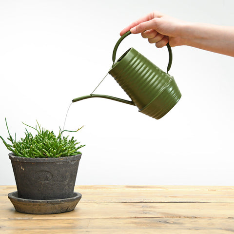 Shades of Green Indoor Watering Can