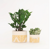 Good Co. Canvas Sitting Planter in marigold ikat