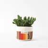 Good Co. Canvas Sitting Planter in brown and red