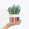 Good Co. Canvas Sitting Planter in red/blue