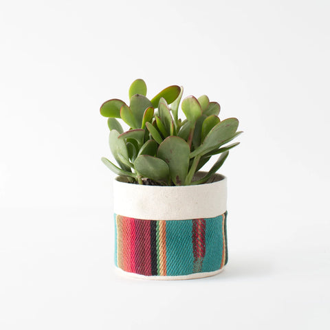 Good Co. Canvas Sitting Planter