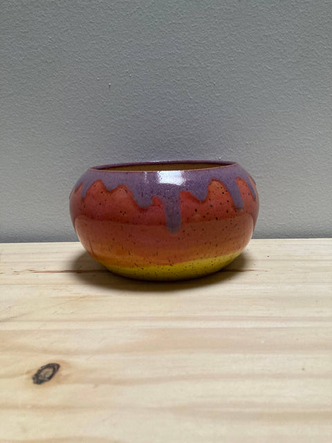 Sunset Ombre Planter