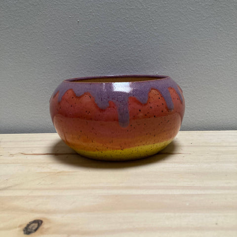 Sunset Ombre Planter