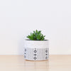 Good Co. Canvas Sitting Planter in black and white with a succulent