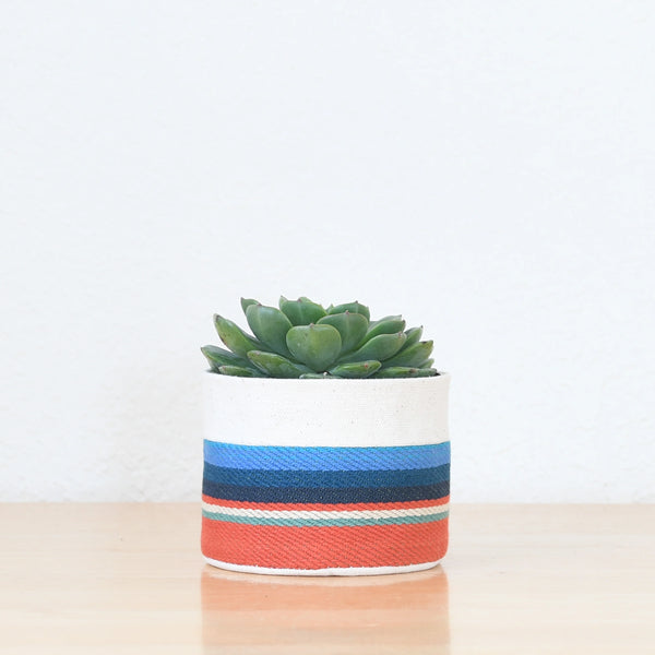 Good Co. Canvas Sitting Planter in red white and blue with a succulent