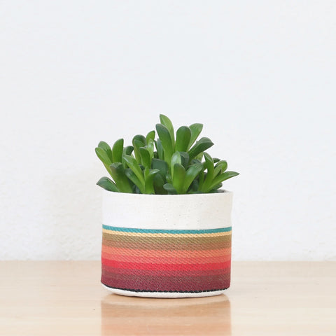 Good Co. Canvas Sitting Planter